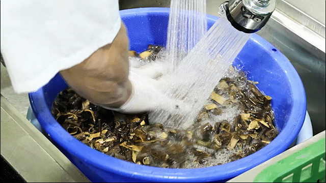 35_세척과정1_GIF 고정.jpg